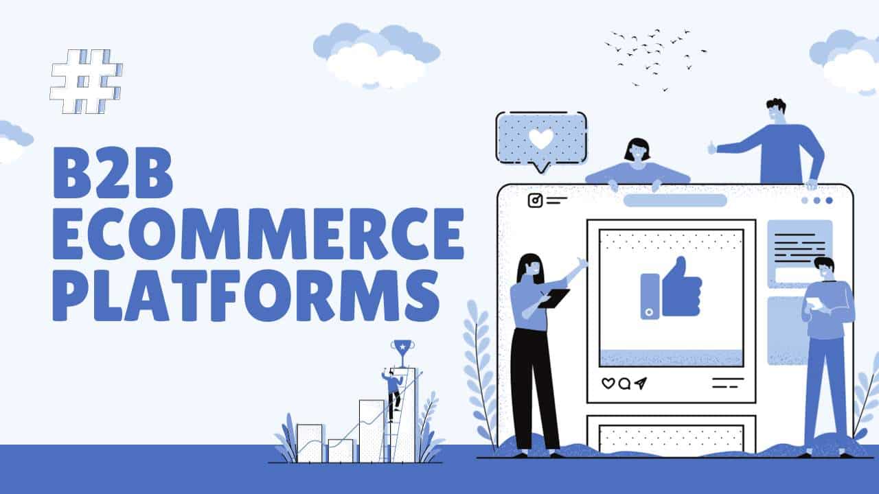 Finding the Best B2B Ecommerce Platform for Your Business in Australia