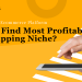 most profitable dropshipping niches