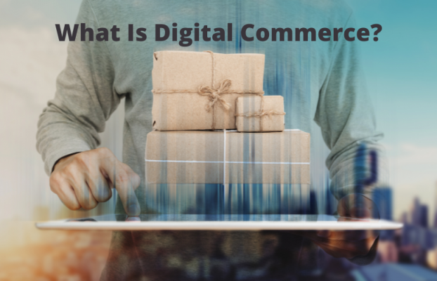 What Is Digital Commerce and Its Future