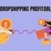 is dropshipping profitable in india?