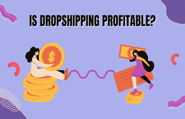 Is Dropshipping Profitable In India?