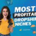 most profitable dropshipping niches