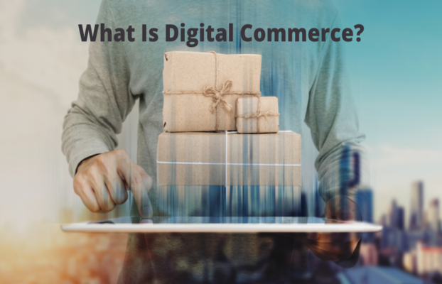 What Is Digital Commerce and Its Future